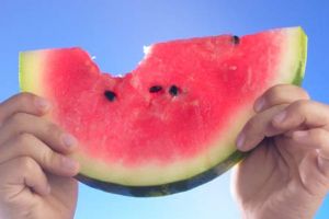 watermelon