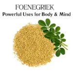 Foenegriek