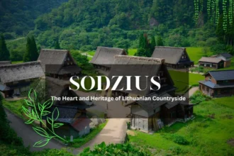 Sodzius