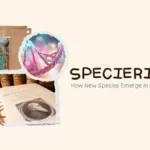 Speciering