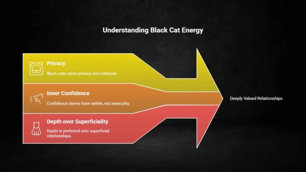 Black Cat Energy