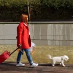 A Guide on Travelling the World with Your Furry Friend 