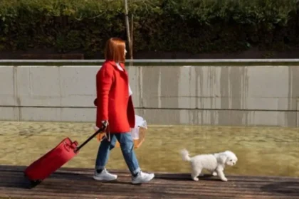 A Guide on Travelling the World with Your Furry Friend 