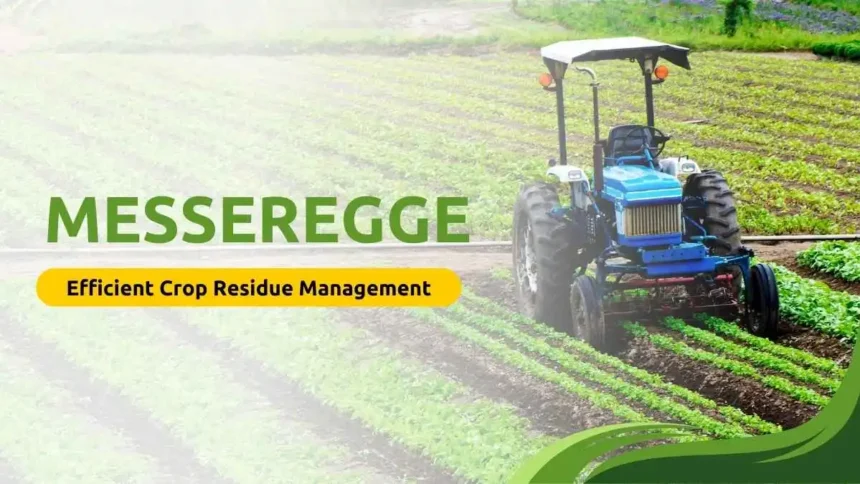Messeregge